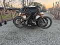 Complete Dual E-Moto Carrier System